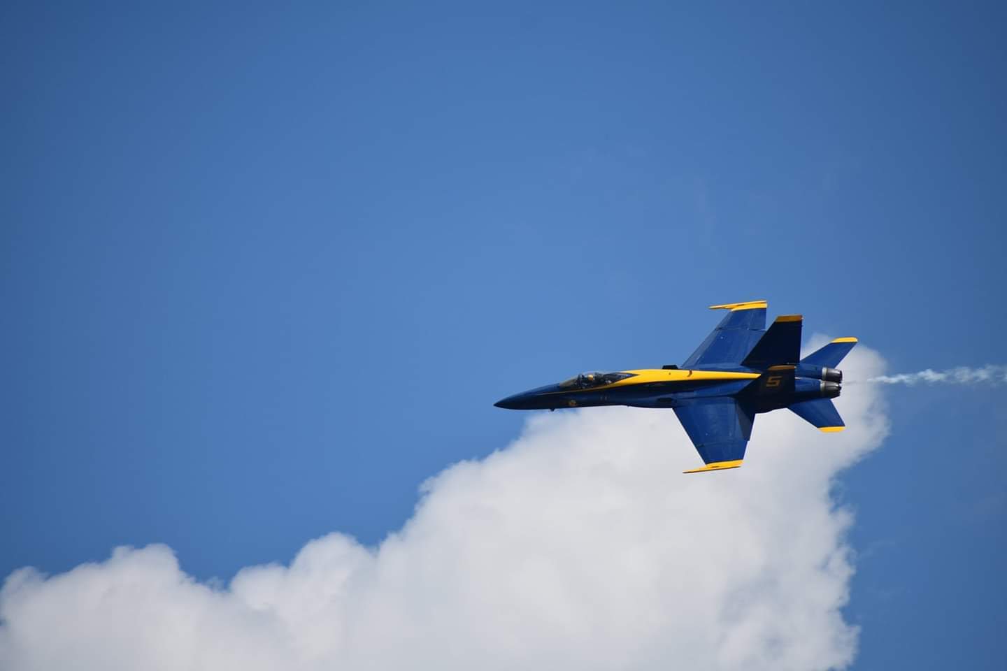 Blue Angels #5